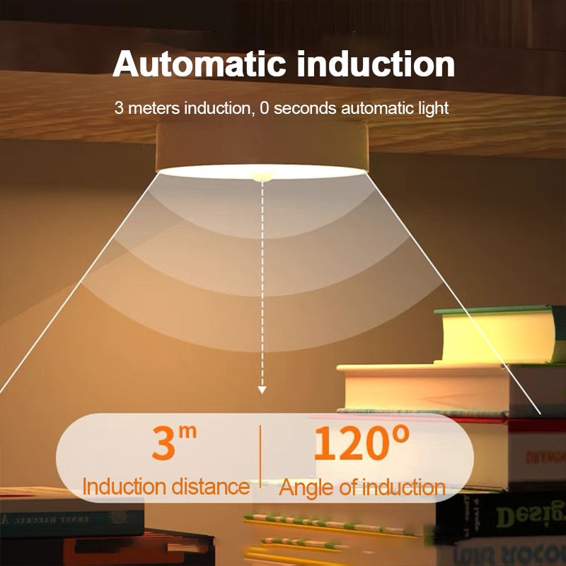 Motion Sensor Lamp