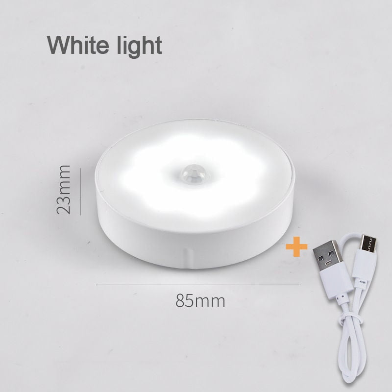 Motion Sensor Lamp