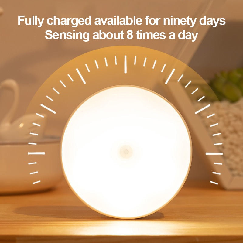 Motion Sensor Lamp