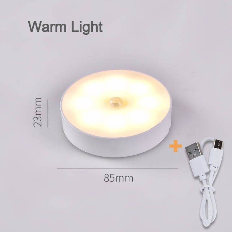 Motion Sensor Lamp