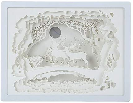 Adult NightLight Picture